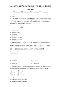 2023届辽宁省葫芦岛市普通高中高三下学期第二次模拟考试物理试题（无答案）