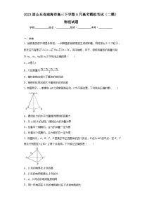 2023届山东省威海市高三下学期5月高考模拟考试(二模)物理试题(无答案)