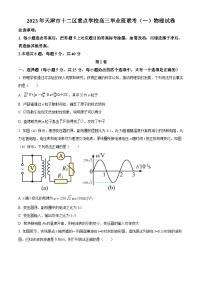 2023届天津市十二区重点学校高三下学期联考物理试题（解析版）