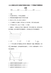 2023届湖北省华大新高考联盟名校高三下学期高考预测物理试题(无答案)