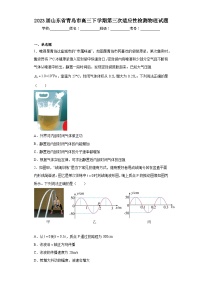 2023届山东省青岛市高三下学期第三次适应性检测物理试题（含解析）