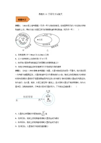 新高考物理三轮冲刺易错题易错点10 万有引力与航天（2份打包，原卷版+解析版）