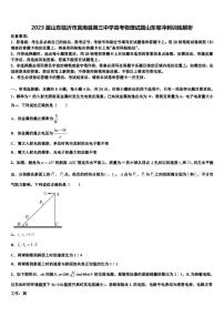 2023届山东临沂市莒南县第三中学高考物理试题山东卷冲刺训练解析