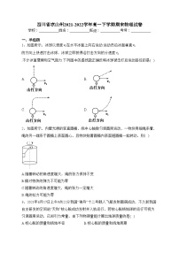 四川省凉山州2021-2022学年高一下学期期末物理试卷(含答案)