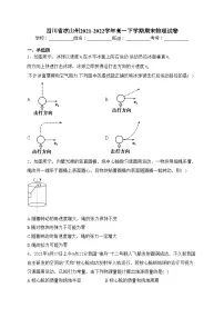 四川省凉山州2021-2022学年高一下学期期末物理试卷(含答案)