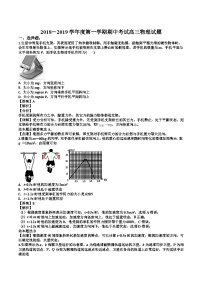 山东省济南第一中学高三上学期期中考试物理试题（解析版）