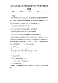 2023年山东省高三下学期普通高中学业水平等级考试模拟物理试题（含解析）