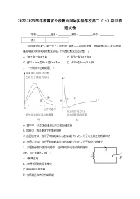 2022-2023学年湖南省长沙麓山国际实验学校高二（下）期中物理试卷（含解析）