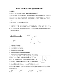 2023年北京重点中学高考物理预测试卷