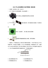 2023年山东省潍坊市高考物理三模试卷