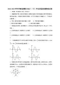 2022-2023学年河南省濮阳市高二（下）学业质量检测物理试卷（含解析）