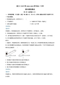 四川省绵阳市三台中学2022-2023学年高一物理下学期期末模拟试题（Word版附解析）