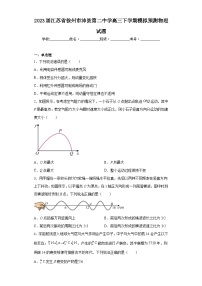 2023届江苏省徐州市沛县第二中学高三下学期模拟预测物理试题（含解析）