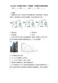 2024届广东省惠州市高三上学期第一次调研考试物理试题（含解析）