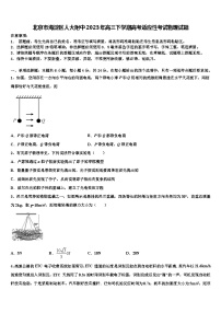 北京市海淀区人大附中2023年高三下学期高考适应性考试物理试题