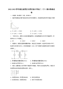 2022-2023学年湖北省武汉市武汉某中学高二（下）期末物理试卷（含解析）