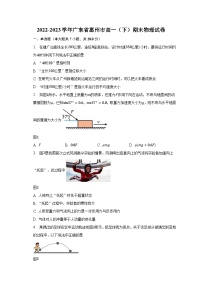 2022-2023学年广东省惠州市高一（下）期末物理试卷（含解析）