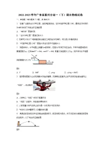 2022-2023学年广东省惠州市高一（下）期末物理试卷（含解析）