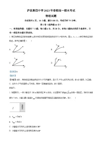 四川省泸州市泸县第四中学2022-2023学年高一物理下学期期末试题（Word版附解析）