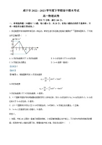 湖北省咸宁市2022-2023学年高一物理下学期期末试题（Word版附解析）