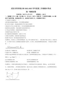 湖北省武汉市常青联合体2022-2023学年高一下学期期末物理试题