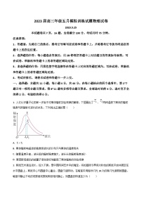 2023届湖北省武汉市高三下学期5月模拟训练物理试题（Word版）