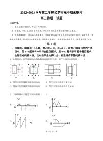 西藏拉萨市2022-2023学年高二下学期期末联考物理试题