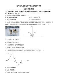 北京市北京师范大学附属实验中学高二下学期期中物理试题