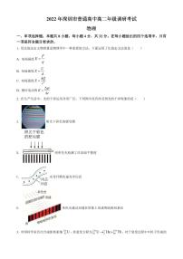 广东省深圳市2021-2022学年高二下学期期末考试物理（原卷版+解析版）