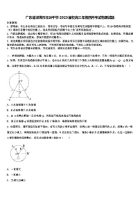 广东省深圳市红岭中学2023届校高三年级四月考试物理试题