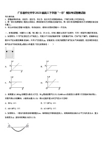 广东省仲元中学2023届高三下学期“一诊”模拟考试物理试题