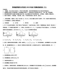 贵州省贵阳市示范名校2023年高三物理试题统练（五）