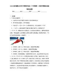 2023届西藏自治区日喀则市高三下学期第一次联考模拟理综物理试题（含解析）
