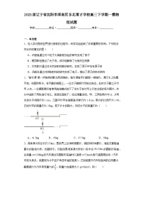 2023届辽宁省沈阳市浑南区东北育才学校高三下学期一模物理试题（含解析）