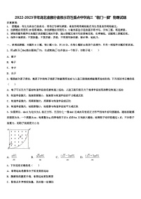 2022-2023学年湖北省部分省级示范性重点中学高三“临门一脚”物理试题