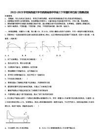 2022-2023学年陕西省兴平市西郊高级中学高三下学期阶段性练习物理试题