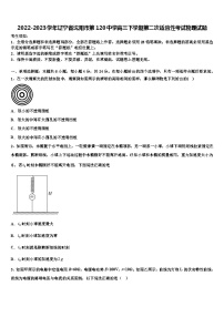 2022-2023学年辽宁省沈阳市第120中学高三下学期第二次适应性考试物理试题
