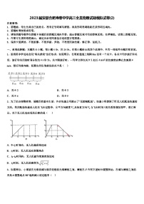 2023届安徽合肥寿春中学高三全真物理试题模拟试卷(2)