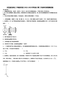 河北省石家庄雄安校区2022-2023学年高三第二次高考诊断物理试题