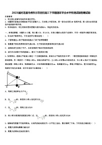 2023届河北省沧州市示范名校高三下学期期末学业水平检测试题物理试题