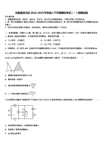 河南省驻马店2022-2023学年高三下学期模拟考试物理试题