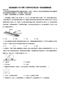 湖北省宜昌市2023年第二次高中毕业生复习统一检测试题物理试题