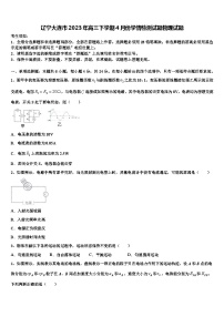 辽宁大连市2023年高三下学期4月份学情检测试题物理试题