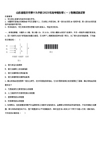 山东省临沂市第十九中新2023年高考模拟卷物理试题试卷