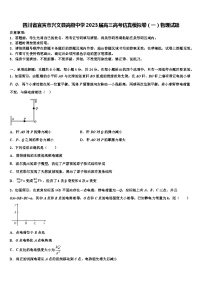 四川省宜宾市兴文县高级中学2023届高三高考仿真模拟卷物理试题