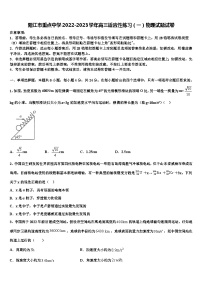 阳江市重点中学2022-2023学年高三适应性练习物理试题试卷