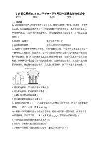 甘肃省临夏州2022-2023学年高一下学期期末质量监测物理试卷（含答案）