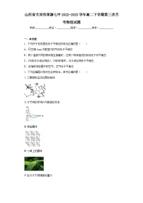 山西省大同市浑源七中2022-2023学年高二下学期第三次月考物理试题（含解析）