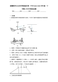 新疆维吾尔自治区塔城地区第一中学2022-2023学年高一下学期6月月考物理试题（含解析）