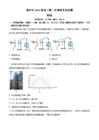 2024届广东省惠州市高三调研考试（高二下学期期末）物理试题（含答案）